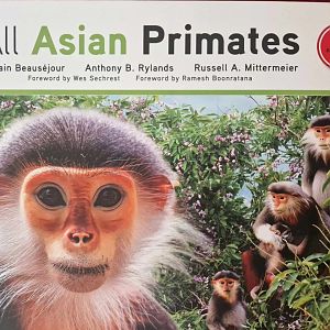 All Asian Primates