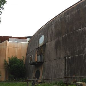 Gorilla building, 2023-08-17