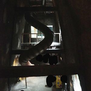 View inside the gorilla building, with part of indoor playground, 2023-08-17