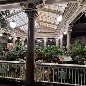 Narrow headed softshell turtle enclosure- Atrium