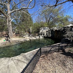 Magellanic Penguin Exhibit (Wide Angle)