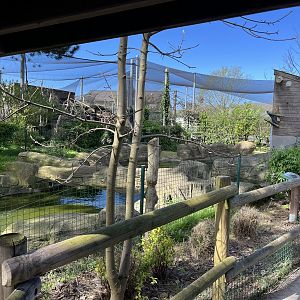 General view looking towards beaver enclosure / walkthrough aviary - Bio-Topia Fort-Mardyck