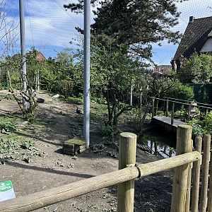 Walkthrough aviary general view - Bio-Topia Fort-Mardyck