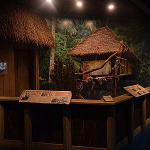 Piranha Falls - Parrot Exhibit