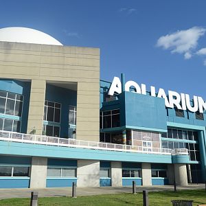 Adventure Aquarium - Outside View