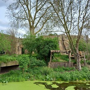 14/04/2024 - Land of the Lions