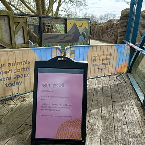 14/04/2024 -Land of the Lions boardwalk