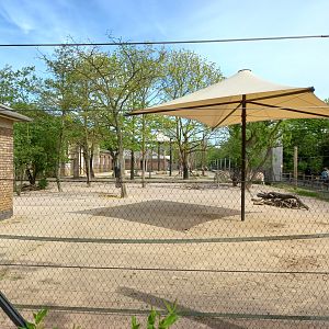 14/04/2024 - Into Africa view