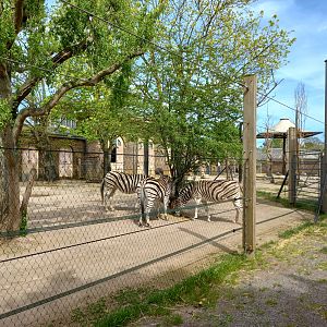 14/04/2024 - Into Africa view