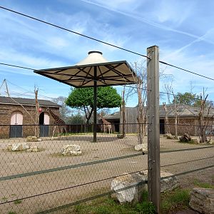 14/04/2024 - Into Africa giraffe paddock