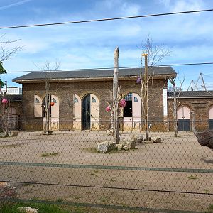 14/04/2024 - Into Africa giraffe paddock