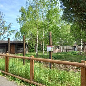 14/04/2024 - Chinese Water Deer paddock
