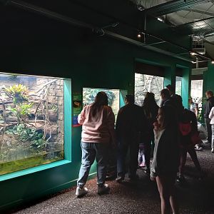 14/04/2024 - Reptile and Amphibian House general view