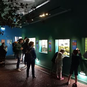 14/04/2024 - Reptile and Amphibian House general view