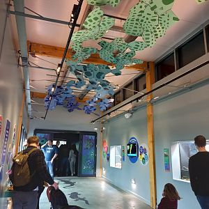 14/04/2024 - Reptile and Amphibian House entrance walkway