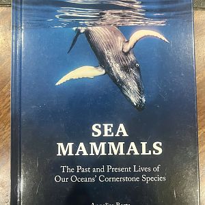 Sea Mammals: The Past and Present Lives of Our Oceans’ Cornerstone Species