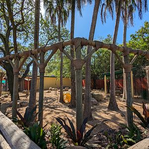 Australia - Yellow footed rock wallaby habitat view