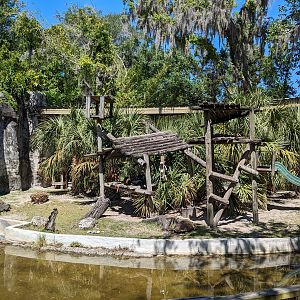 Primate World - Guenon habitat (also sulcata tortoise)