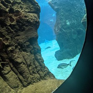 CRETAquarium- View into main tank