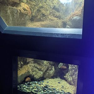 CRETAquarium- Tank example