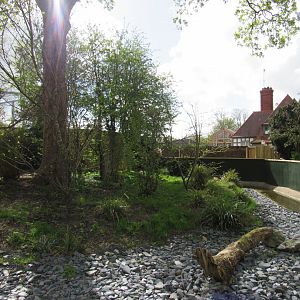 Refurbished red panda enclosure