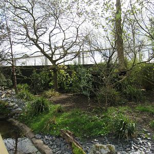 Refurbished red panda enclosure