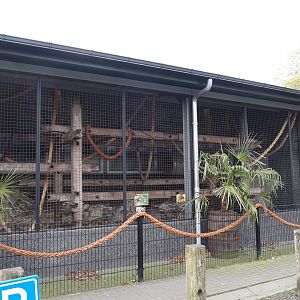 Fossa exhibit, 2024-04-14