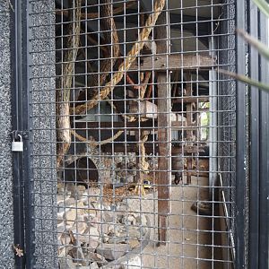 Fossa exhibit, 2024-04-14