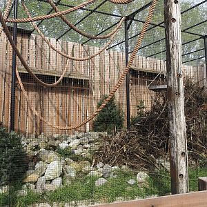 New Kea aviary, 2024-04-14