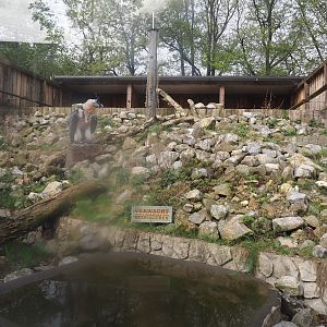 Future Bearded vulture aviary, 2024-04-14