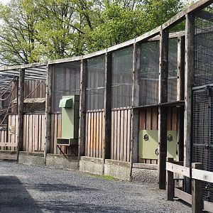 Future Bearded vulture aviary viewing areas, 2024-04-14