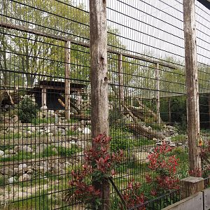 Larger snow leopard exhibit, 2024-04-14