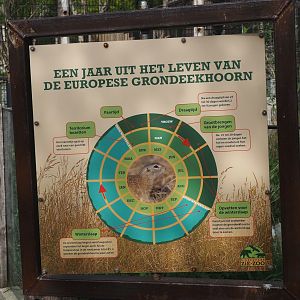 European souslik annual cycle signage, 2024-04-14