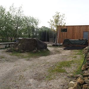Future scavenger aviary construction site, 2024-04-14
