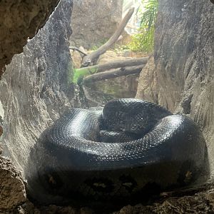 South America’s Pantanal