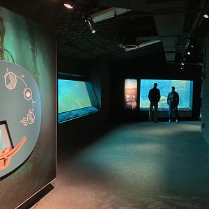 Sea Change (underwater viewing for pinnipeds, sea otters, and penguins)
