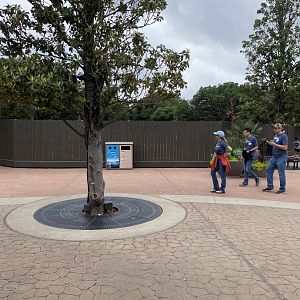 Entry Plaza Construction