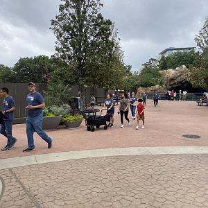 Entry Plaza Construction