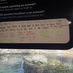 Penguin Breeding Season