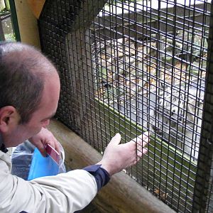 The snow leopard enclosure at Paradise Wildlife Park, 22 November 2009