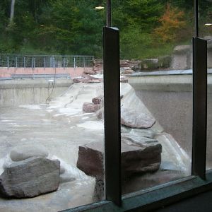 empty penguin pool october 2009