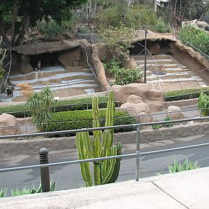 Africa Rocks - Chinese Goral Exhibit