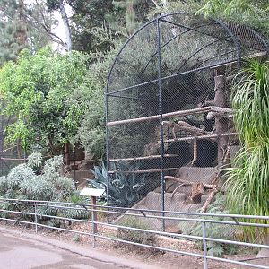 Africa Rocks - Small Mammal Exhibits