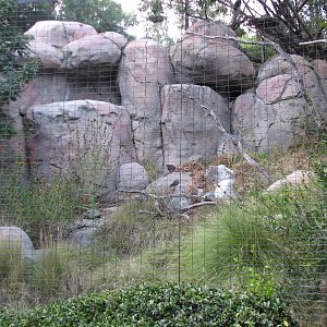 Africa Rocks - Kopje - Bataleur Eagle Exhibit