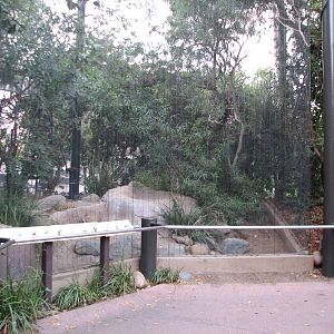 Africa Rocks - Kopje - Aviary