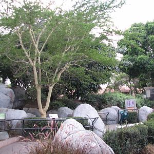 Africa Rocks - Kopje - Exhibit Path