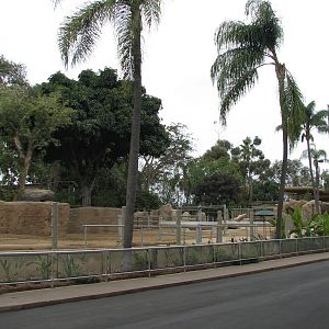 Urban Jungle - Rhino Exhibits