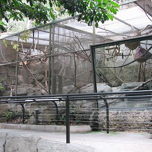 Outback - Capuchin and Squirrel Monkey Exhibits
