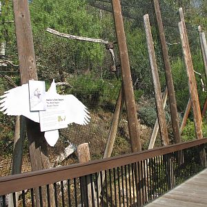 Lost Forest - Stellars Sea Eagle Exhibit