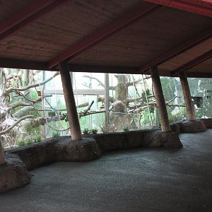 Lost Forest - Absolutely Apes - Francois Langur House Interior